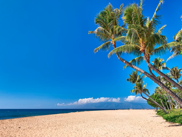Luxurious 4-Bedroom Maui Retreat in Kaanapali